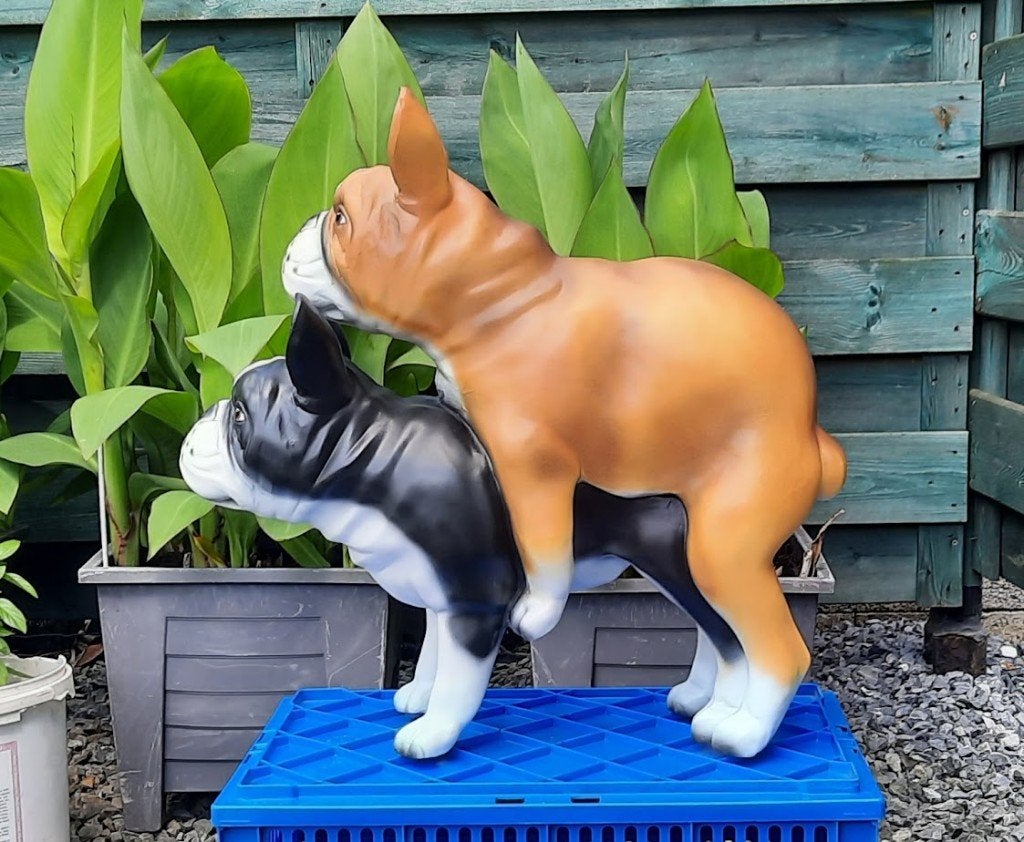 Unieke Beeld,straf beeld,honden,Franse bulldogs, Ophalen, Nieuw, Dier