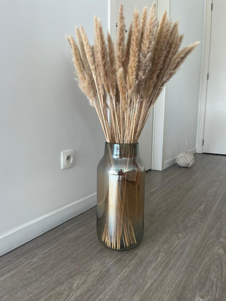 Vase avec fleurs séchées, Enlèvement, Comme neuf