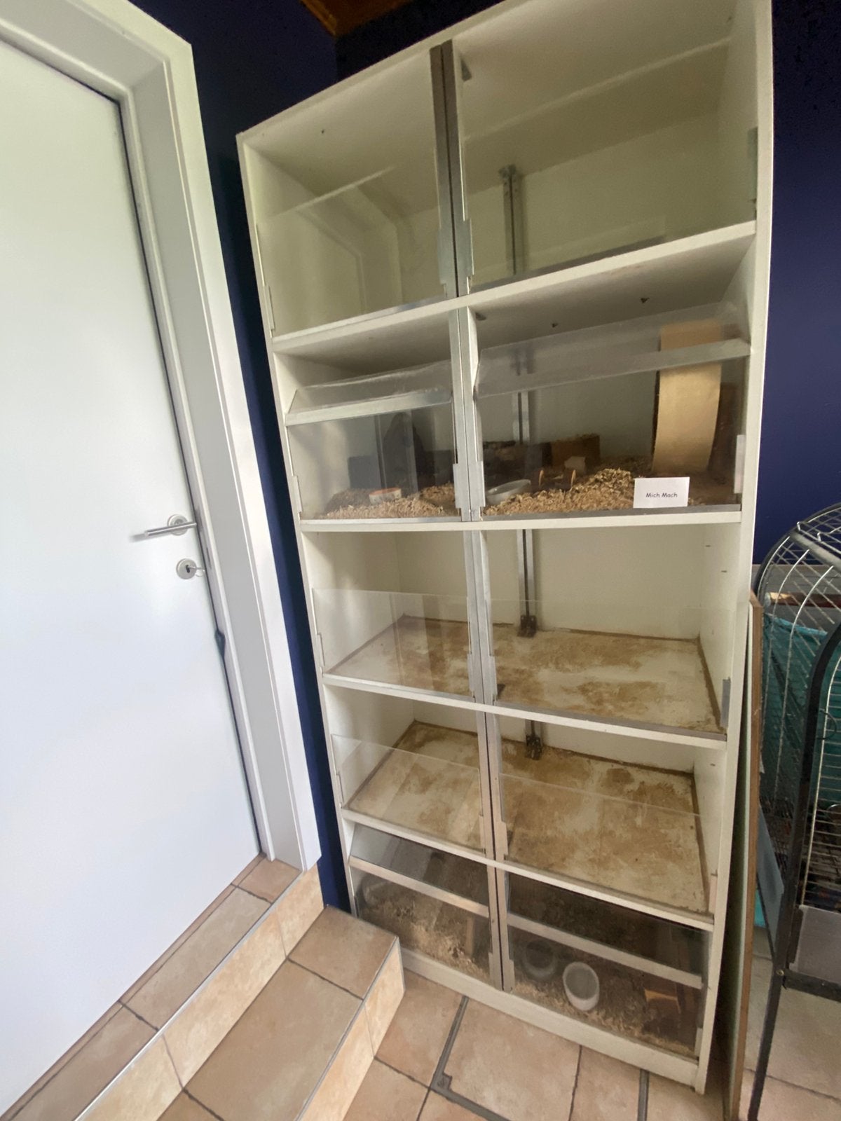 Stevige cavia flat hok 5 verdiepingen gratis, Dieren en Toebehoren, Ophalen, Zo goed als nieuw, Hok, Cavia