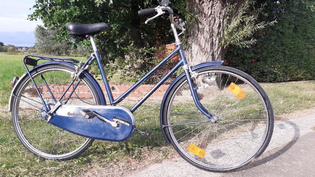 Damesfiets BATAVUS IN ORDE ledverlichting 3 vers, Ophalen, Batavus, Versnellingen