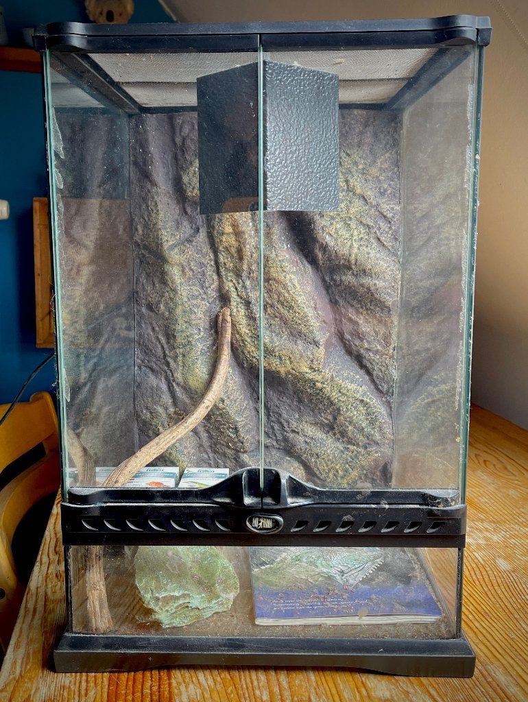 Terrarium en aquarium, Ophalen, Gebruikt, Terrarium of Paludarium