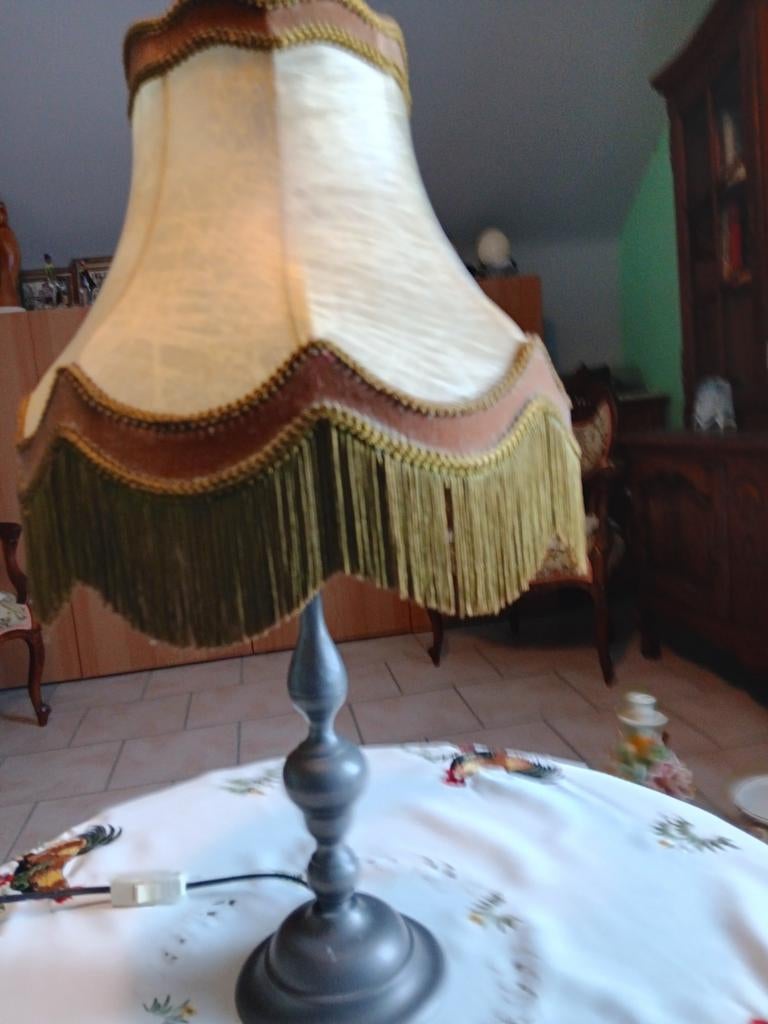 Lampe de chevet, vessie de porc,fonctionne