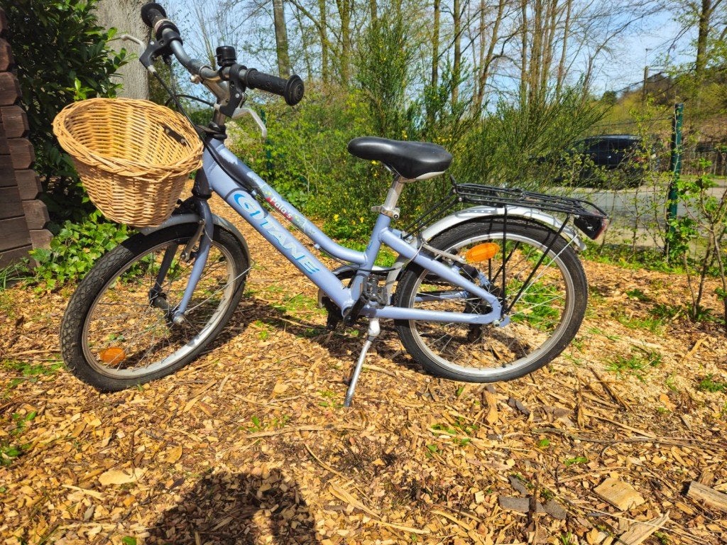 velo, Enlèvement, Utilisé, Vitesses