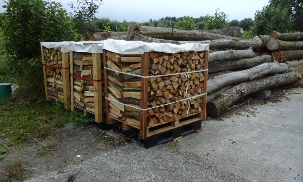 brandhout en pellets te koop, Enlèvement ou Envoi, Hêtre, Bûches