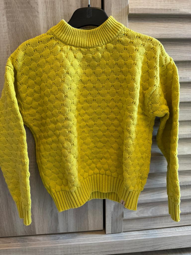 Trui meisje, Kinderen en Baby's, Kinderkleding | Maat 134, Ophalen, Zo goed als nieuw, Meisje