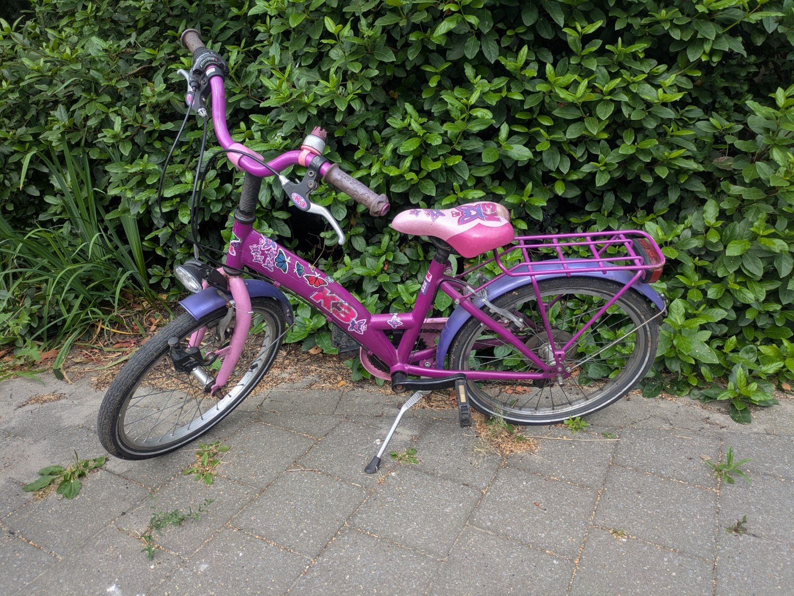 meisjes fiets, Enlèvement