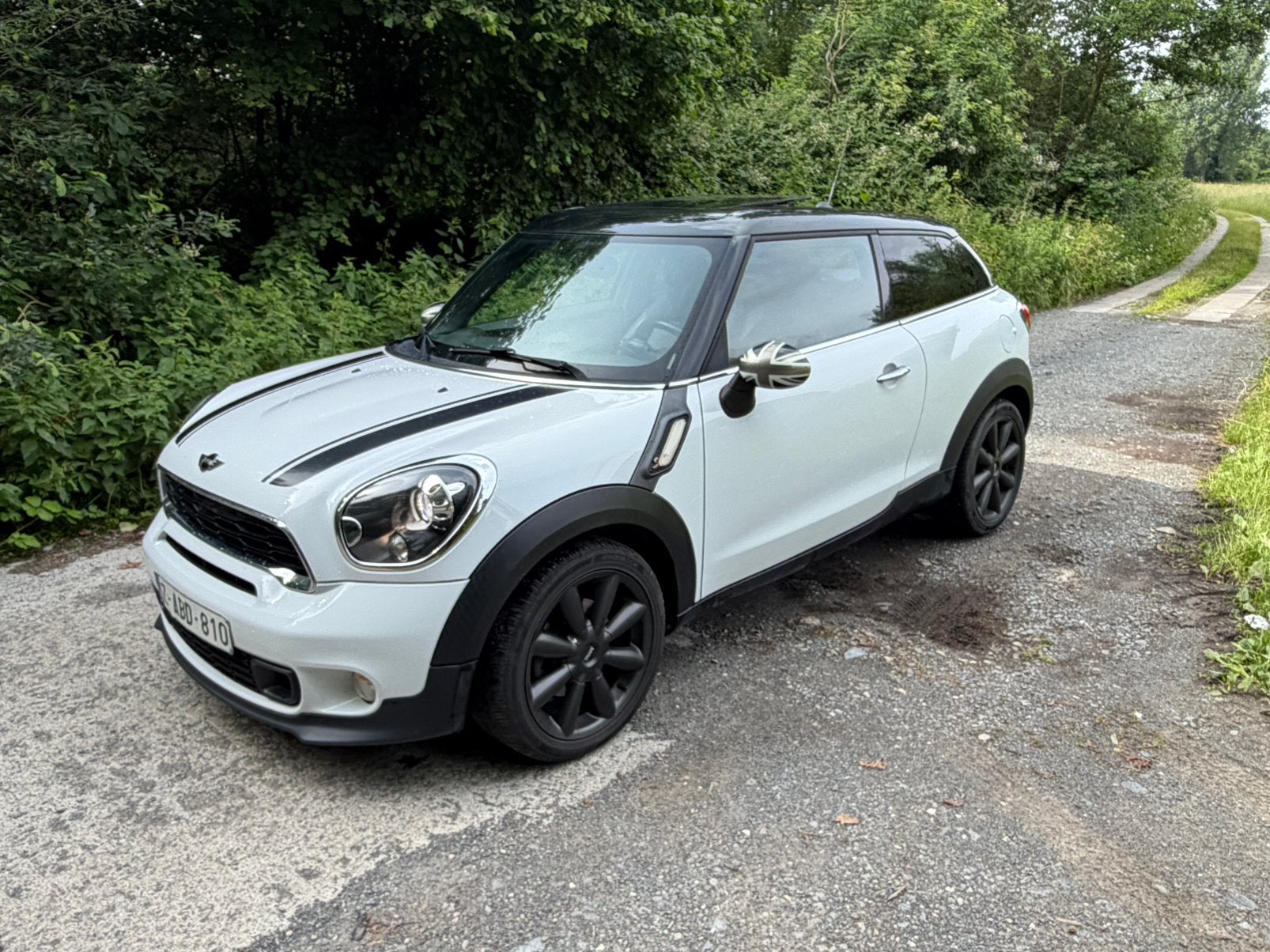 Mini Paceman, Auto's, Mini, Euro 5, Bedrijf, Diesel, Te koop