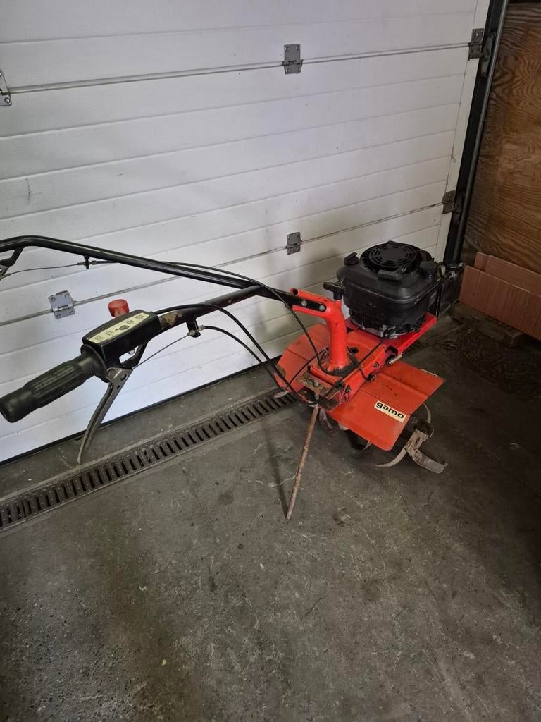 Tuinfrees GAMO, Enlèvement