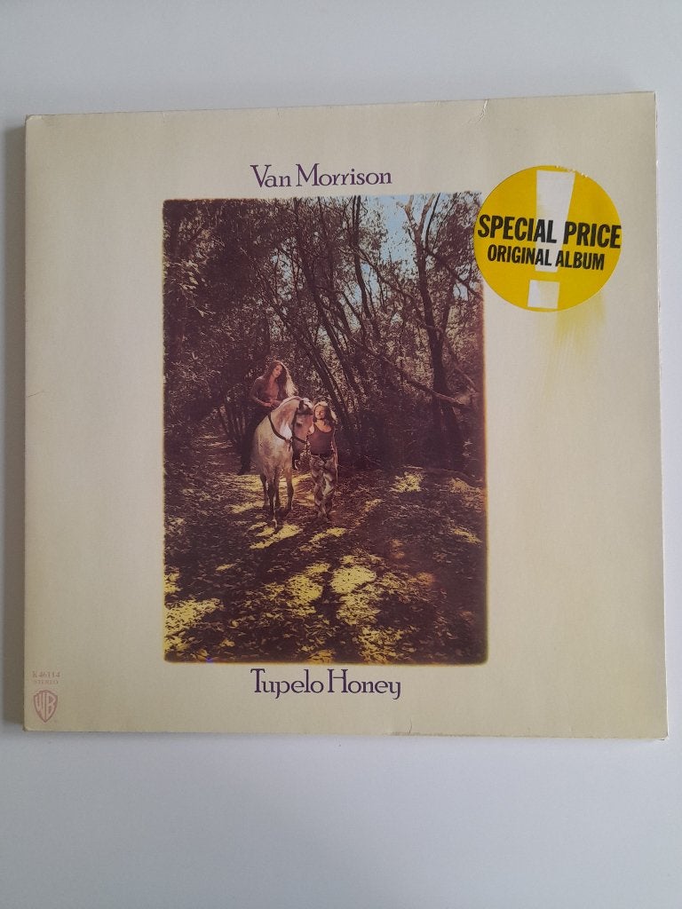 Van Morrison, CD & DVD, LP, Enlèvement ou Envoi, Utilisé, Blues
