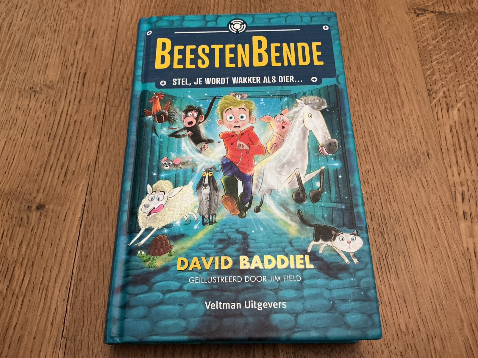 David Baddiel - Beestenbende  -  verzenden mogelijk, Livres, Livres pour enfants | Jeunesse | 10 à 12 ans, Comme neuf, Enlèvement