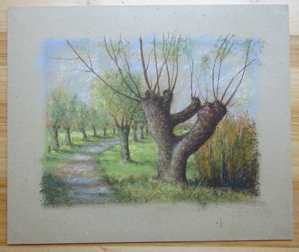 Georges Cheyns, pastel, 34 x 44 cm, Knotwilgen, Enlèvement, Peint à la main, Pastel, Papier