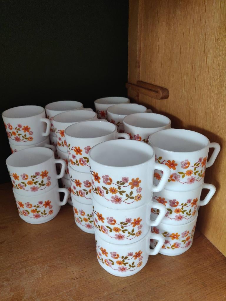 Lot Arcopal Scania (lot 2), Enlèvement, Utilisé, Tasse(s) et/ou soucoupe(s)