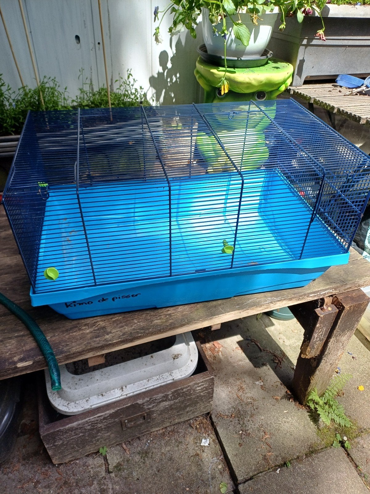Hamsterkooi, Dieren en Toebehoren, Ophalen