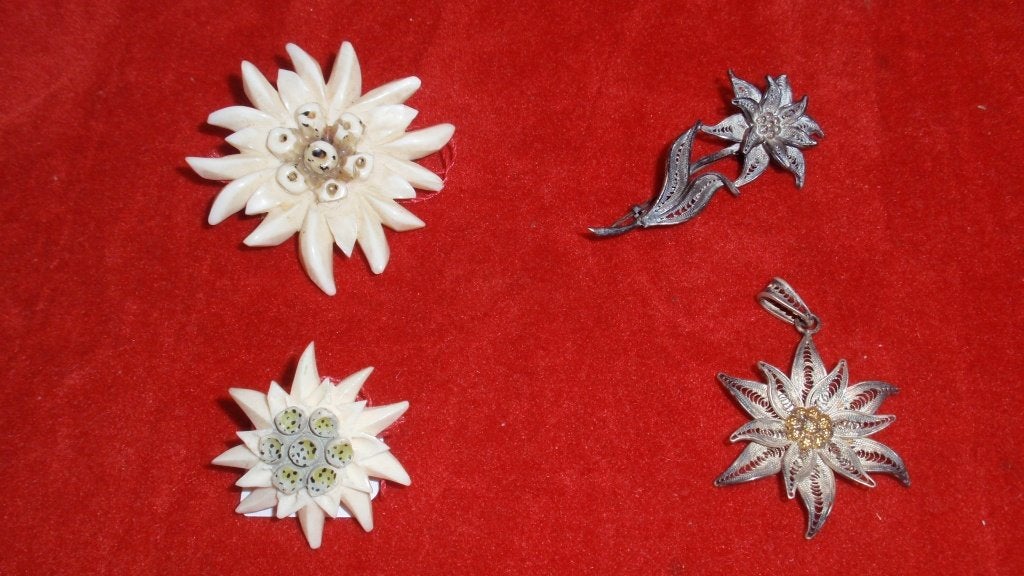Lot van 4 antieke edelweiss juwelen zilver & been, Handtassen en Accessoires, Antieke sieraden, Ophalen of Verzenden, Zilver, Broche