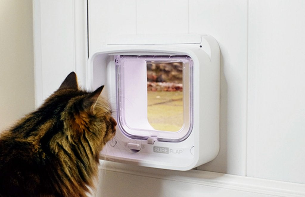 Porte battante chatière SurePetCare, Animaux & Accessoires, Enlèvement, Neuf