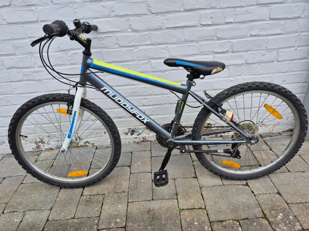 Velo garçons, Enlèvement