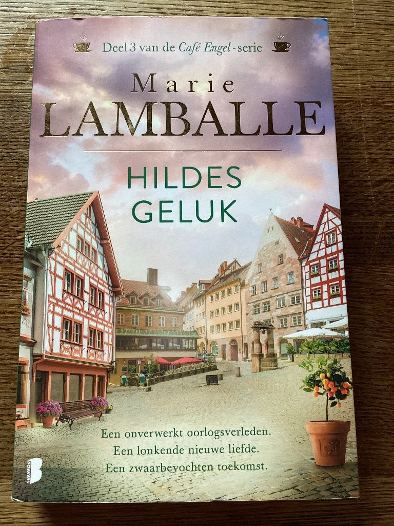 Marie Lamballe, Boeken, Ophalen of Verzenden, Zo goed als nieuw