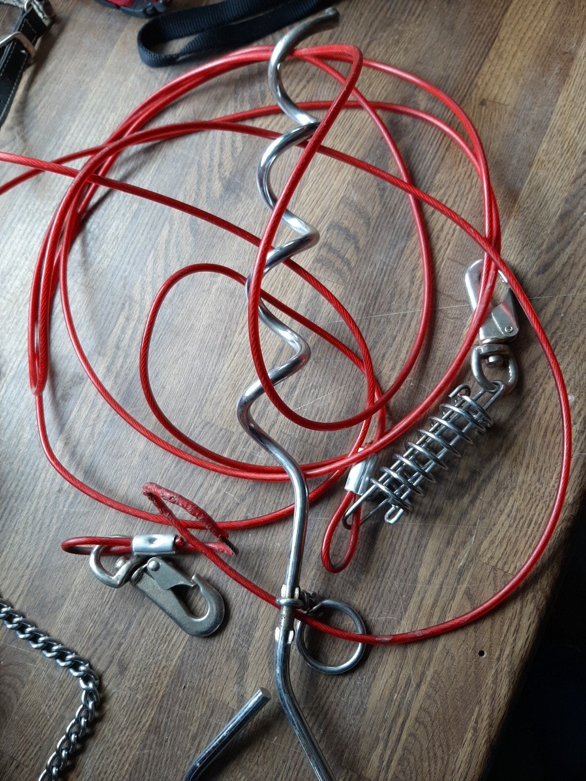 hondeleiband met grondpen, Dieren en Toebehoren, Hondenriemen, Ophalen