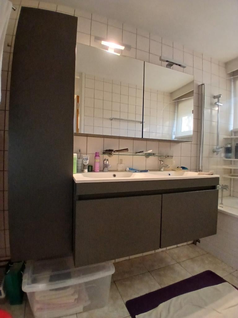 Badmeubel, Enlèvement, Utilisé, Armoire à miroir