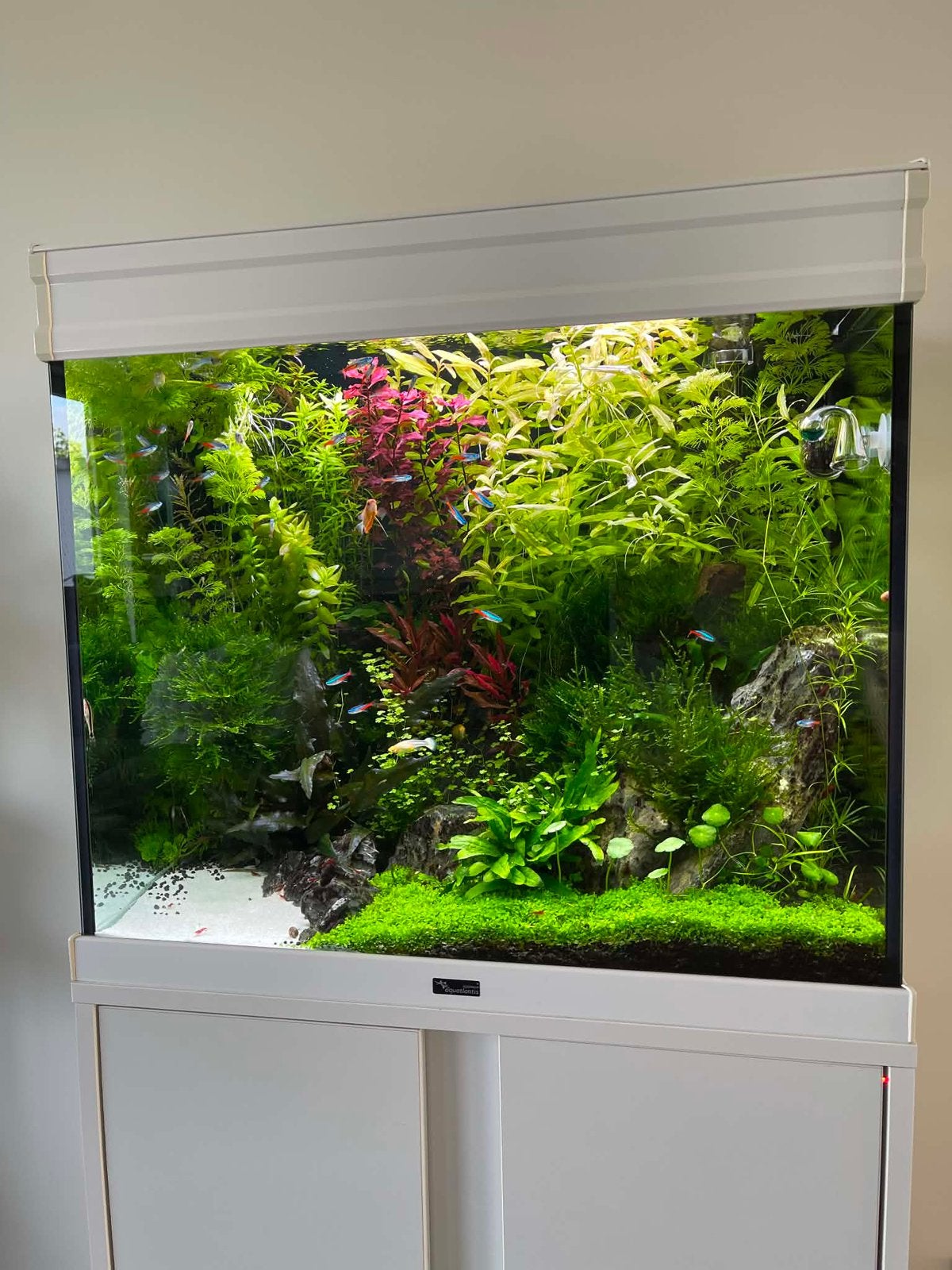 Aquarium Aquatlantis 110l avec armoire et lampe, Animaux & Accessoires, Enlèvement, Comme neuf, Aquarium vide, Aquatlantis