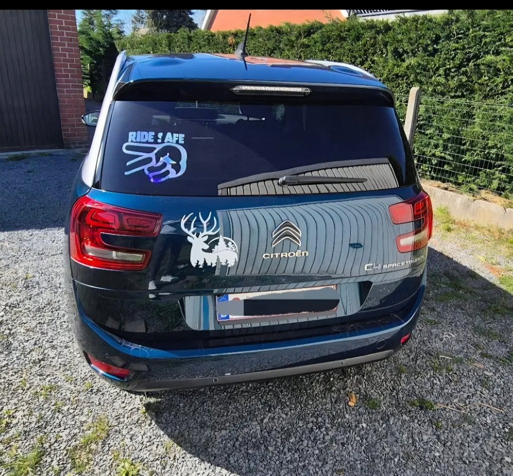 Citroën Grand C4 Spacetourer, Auto's, Monovolume, Euro 6, 7 zetels, Diesel