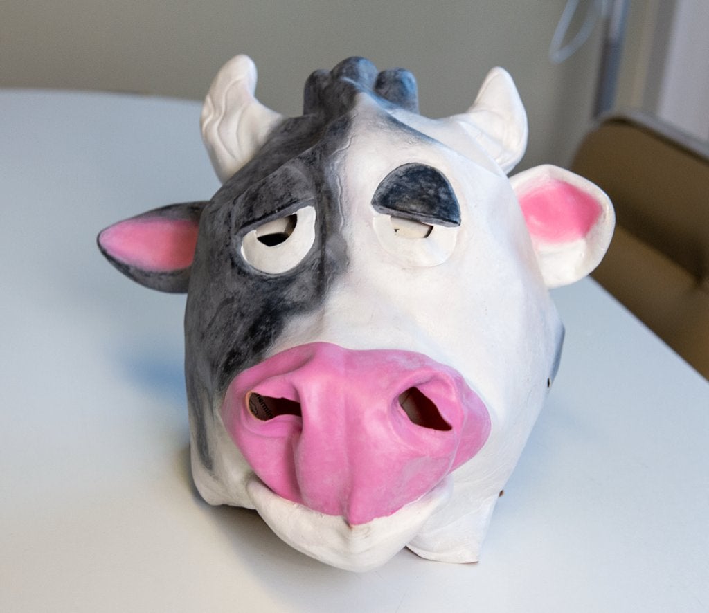set van 4 verkleedmaskers dieren, Ophalen of Verzenden, Nieuw