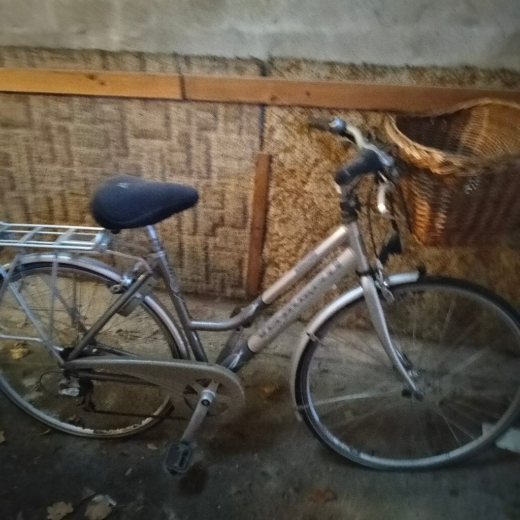 Damesfiets, Velgrem, Versnellingen, 56 cm of meer, Zo goed als nieuw