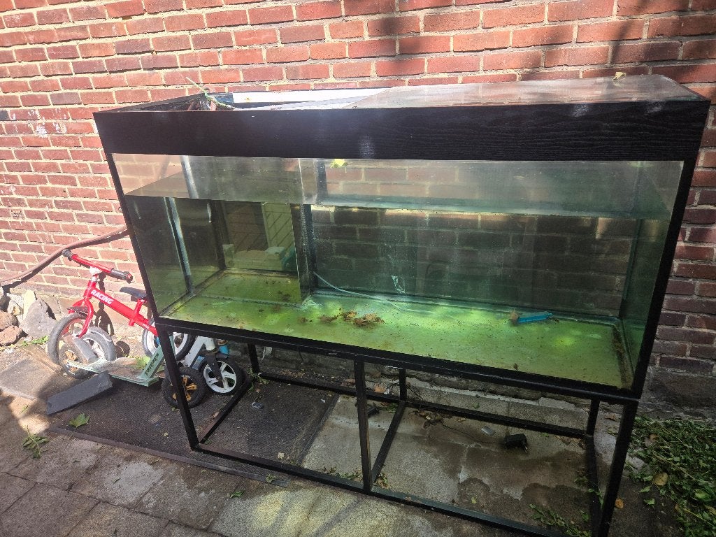 Aquarium, Animaux & Accessoires, Poissons | Aquariums & Accessoires, Utilisé, Pompe, Enlèvement