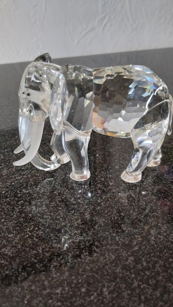 olifant, Verzamelen, Ophalen