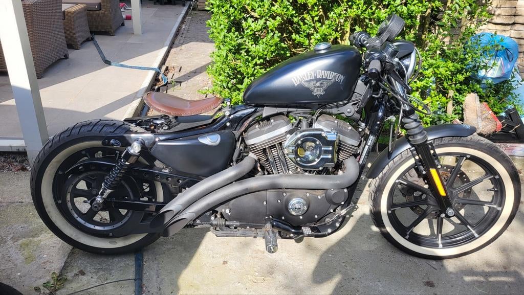 Harley Davidson Iron 883, Motoren, Particulier