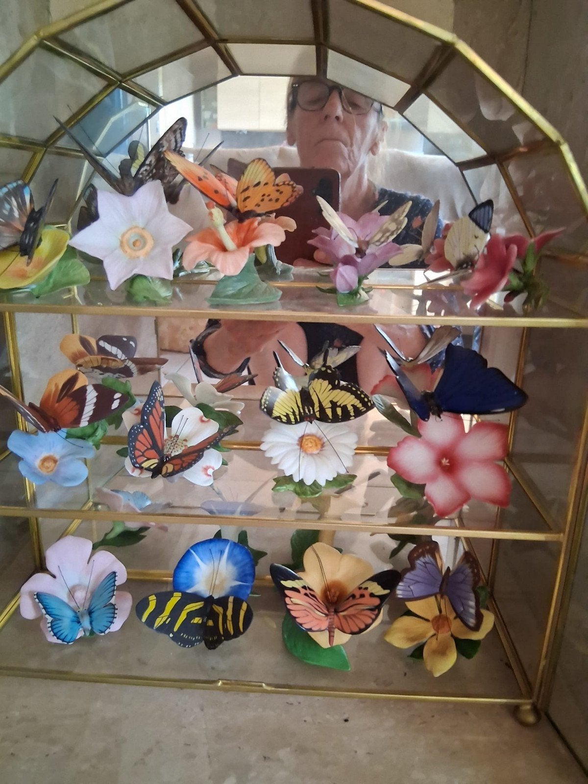 vlinders, Verzamelen, Ophalen