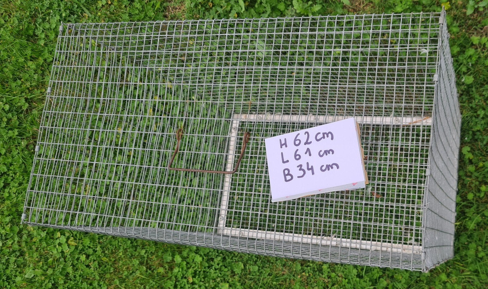 vlucht vogels, Dieren en Toebehoren, Ophalen, Gebruikt