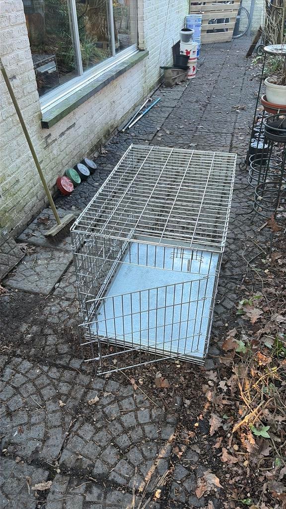 Stevige Bench voor hond, Enlèvement, Utilisé