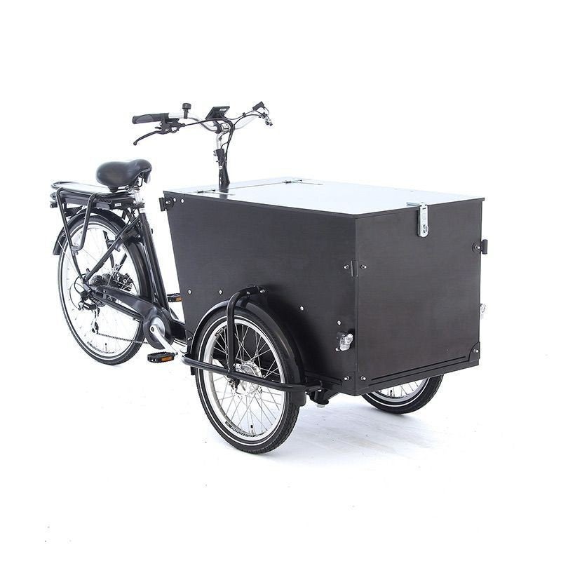 vélo cargo électrique babboe pro noir, Enlèvement, Électrique