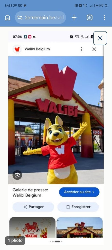 Ticket Walibi, Tickets en Kaartjes, Drie personen of meer, Ticket of Toegangskaart