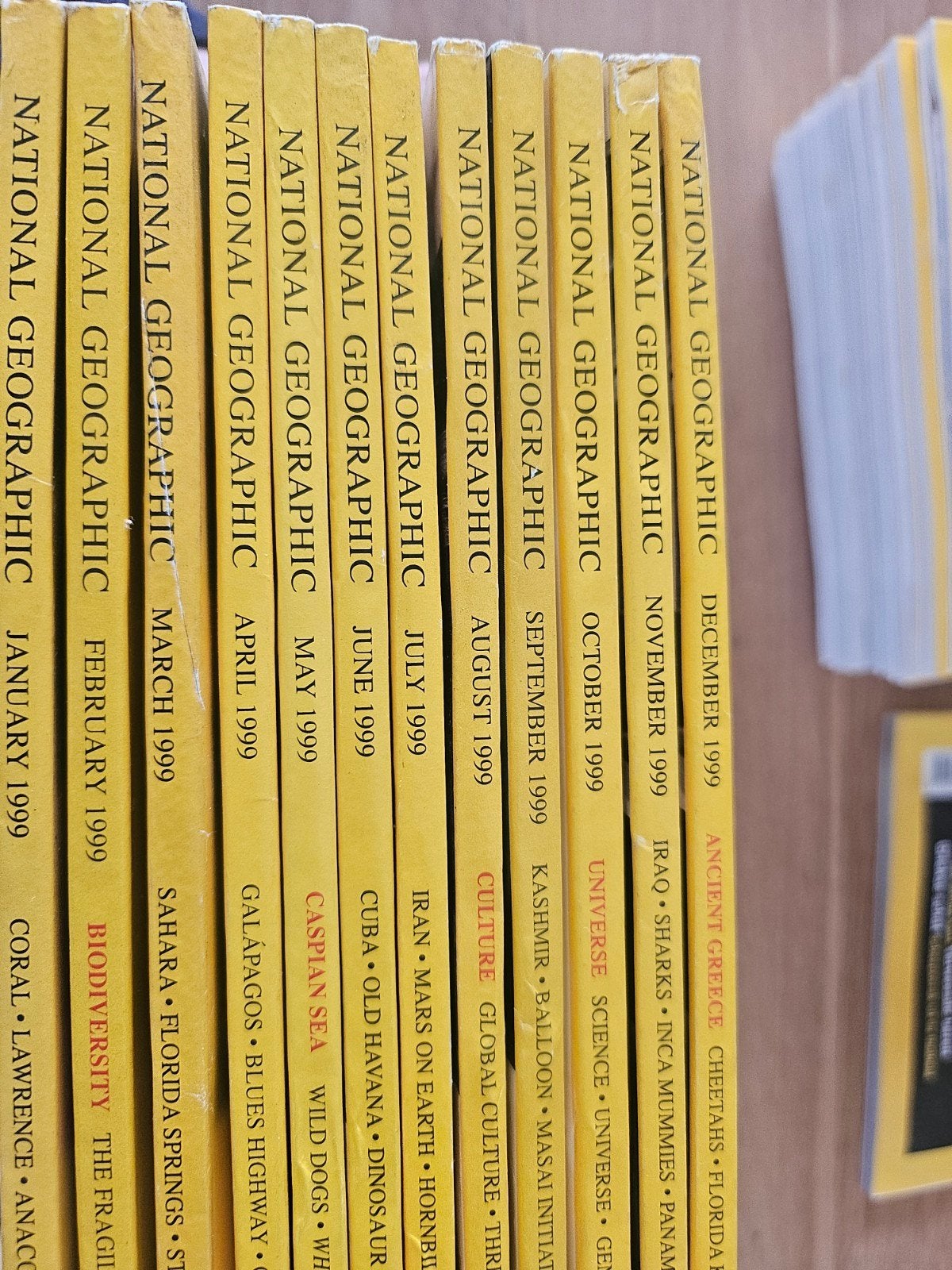NATIONAL GEOGRAPHIC  US/UK  FULL YEAR 1999, Ophalen of Verzenden, Zo goed als nieuw, National Geographic