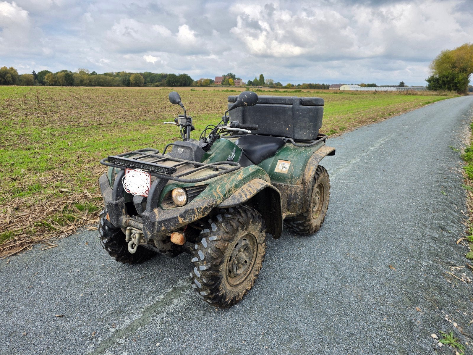 yamaha grizzly 450, 450 cc