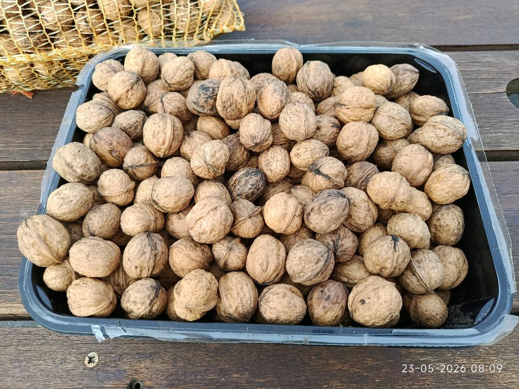 Walnoten / okkernoten, Diversen, Levensmiddelen, Ophalen