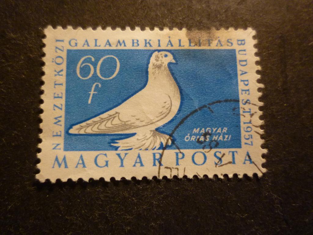 Hongarije/Hongrie 1957 Mi 1507A(o) Gestempeld/Oblitéré, Timbres & Monnaies, Timbres | Europe | Hongrie, Envoi