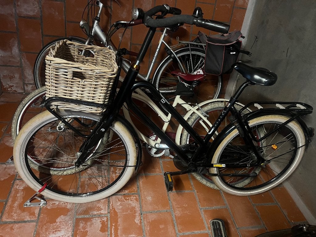 Batavus bub dames fiets, Vitesses, Frein à rétropédalage, Batavus, Enlèvement