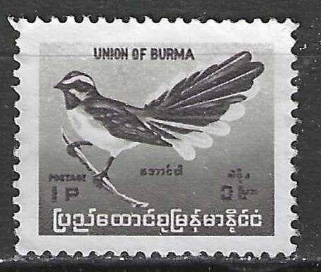 Birmanie 1968 - Yvert 111 - Muscicape ou Moucherolle (ZG), Envoi, Non oblitéré