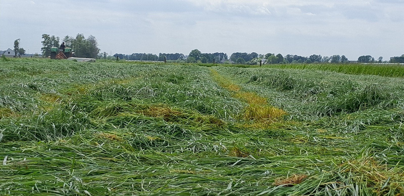 Super mooi hooi eerste snede 2026, Dieren en Toebehoren, Ophalen