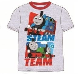 Thomas de Trein T-shirt Grijs - Maat 98 - 110 - 122 -128, Kinderen en Baby's, Kinderkleding | Maat 122, Disney, Nieuw, Ophalen of Verzenden