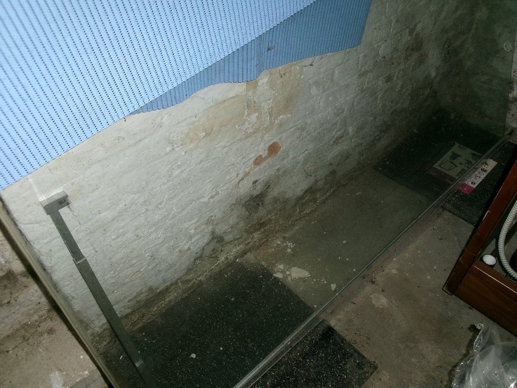 paroi de douche fixe 120/200 en verre, Enlèvement, Utilisé