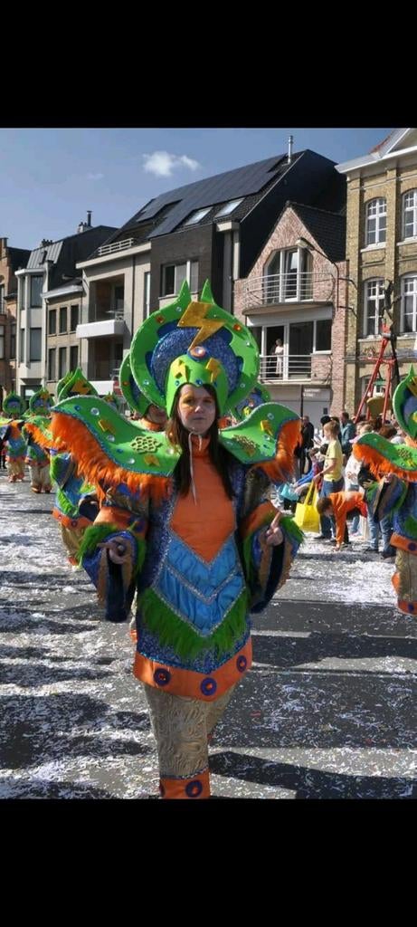 Beaux costumes de carnaval, Vêtements | Femmes, Enlèvement, Porté
