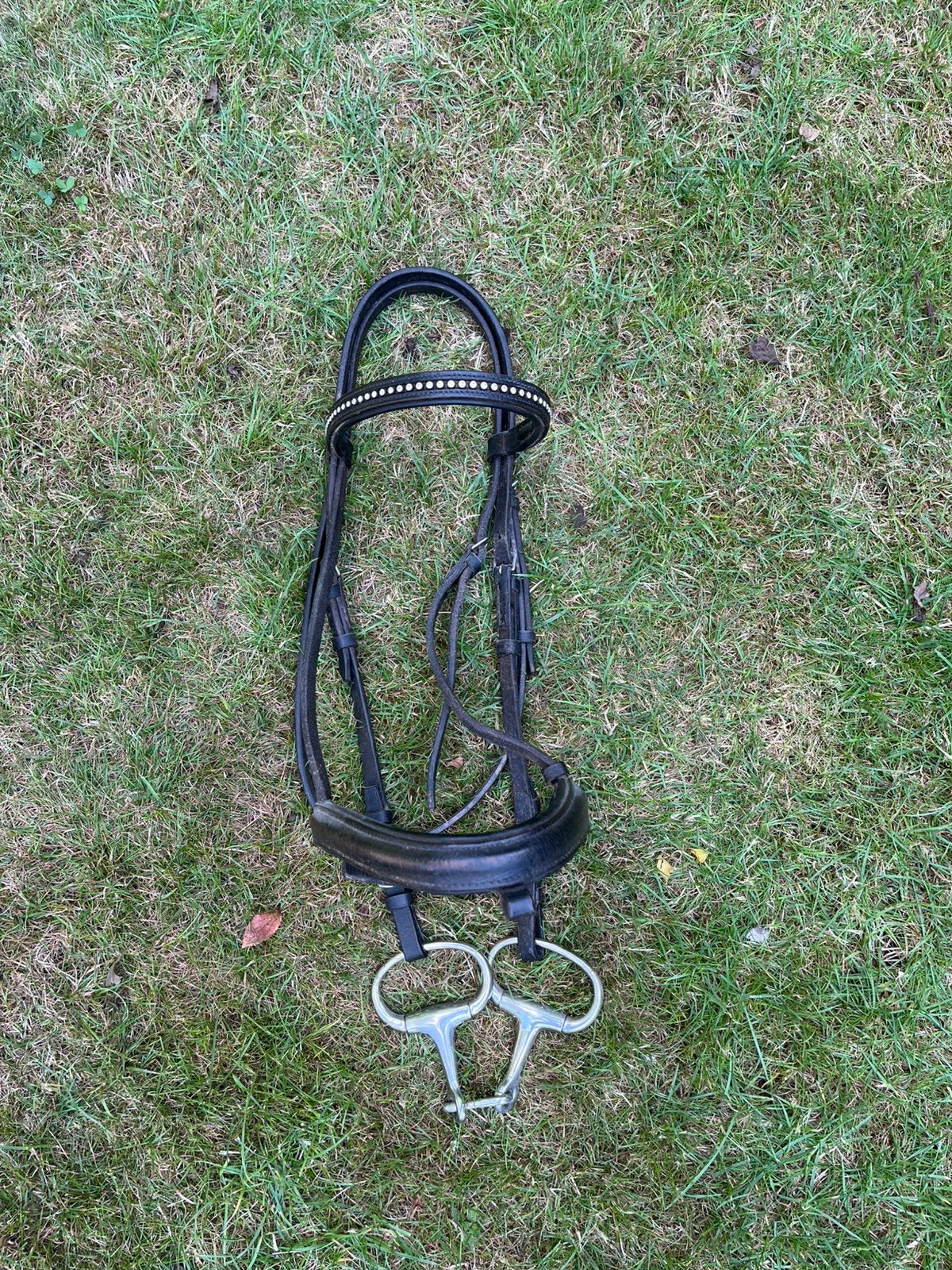 Hoofdstel, Envoi, Utilisé, Mors, Full