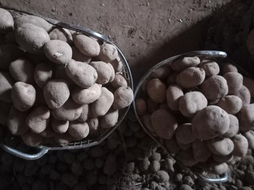 Stro en aardappelen te koop, Zakelijke goederen, Ophalen