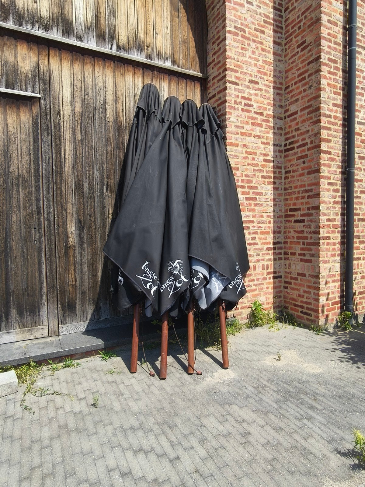 Parasol Brugse zot, Enlèvement