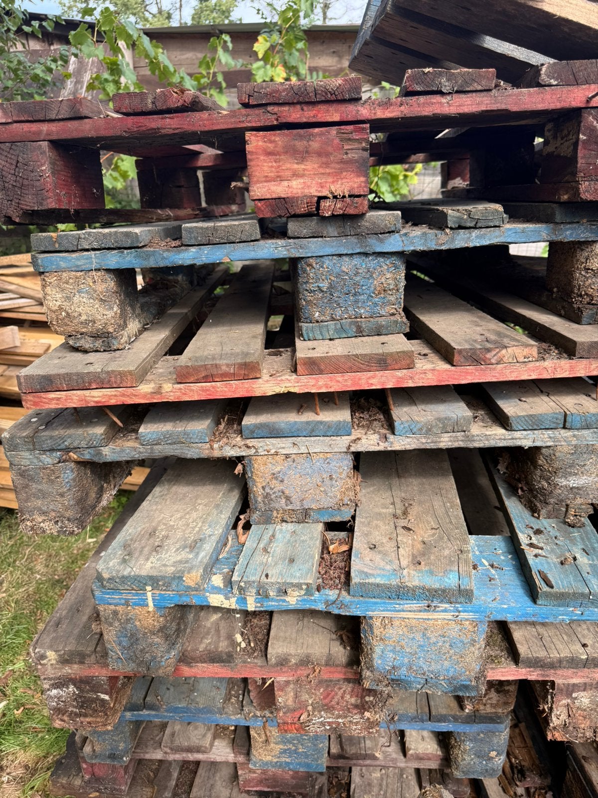 Palettes ( a donner ), Bricolage & Construction, Enlèvement, Comme neuf