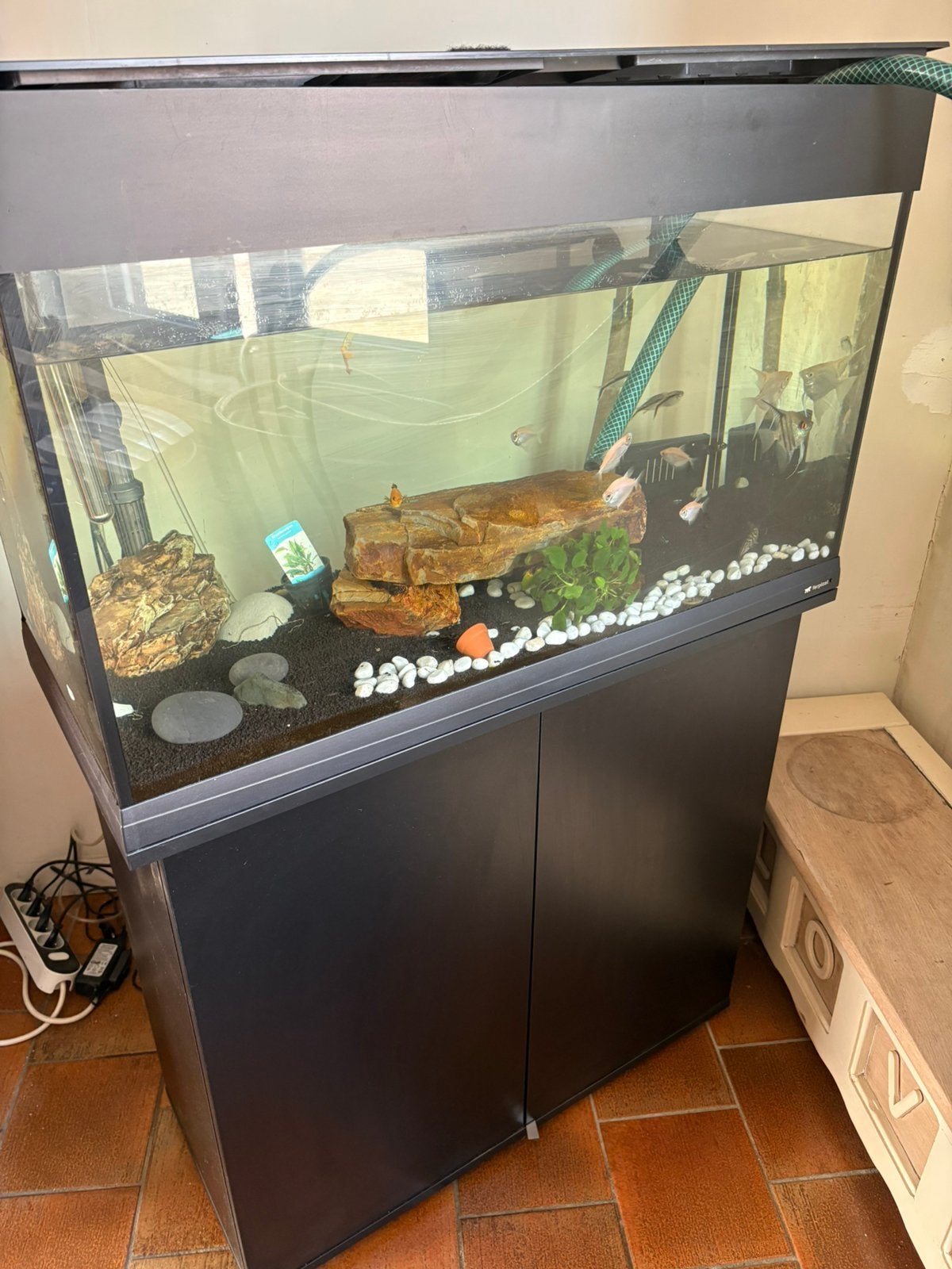 Aquarium incl vissen pomp verlichting verwarming, Ophalen, Pomp, Zo goed als nieuw